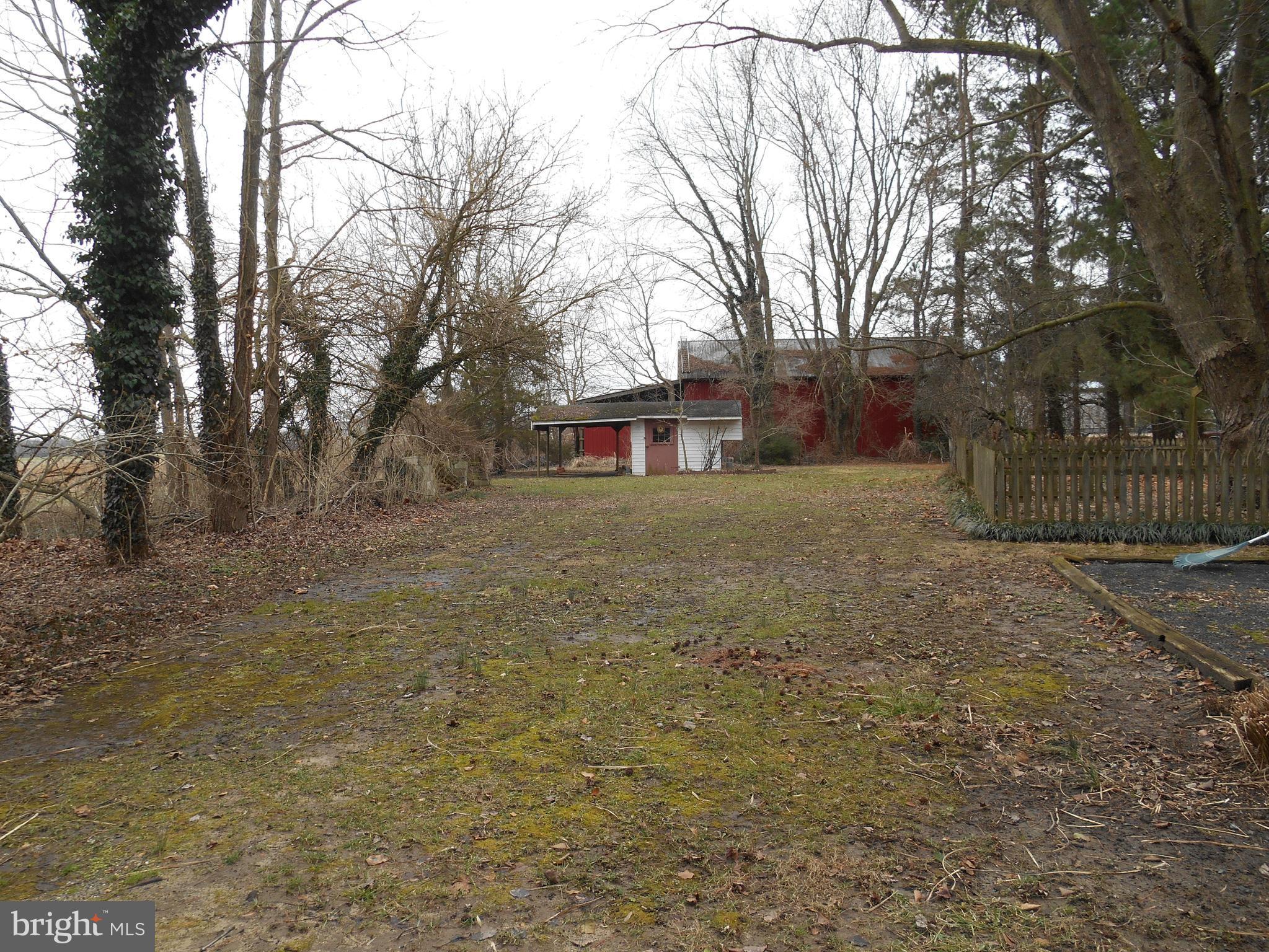 10015 New Bridge Road Denton, MD 21629 - Photo 30 of 30 shed