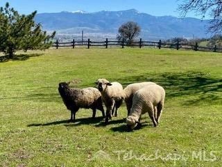 21218 Pine Ridge Drive Tehachapi, CA 93561 - Photo 46 of 62 Gallery Image 46