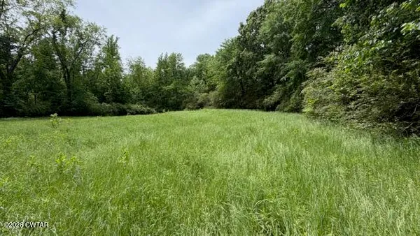 $250,000 | 0 Terry Road, Cedar Grove, TN 38321