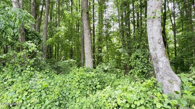 0 Terry Road Cedar Grove, TN 38321 - Photo 11 of 23 IMG_7526