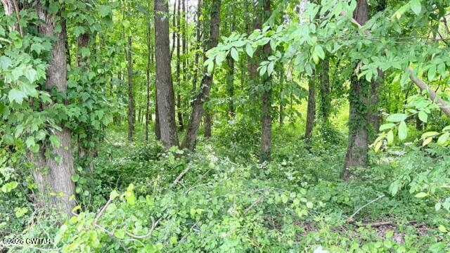 0 Terry Road Cedar Grove, TN 38321 - Photo 12 of 23 IMG_7524