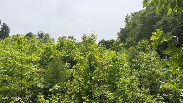 0 Terry Road Cedar Grove, TN 38321 - Photo 15 of 23 IMG_7551