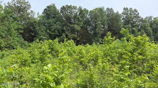 0 Terry Road Cedar Grove, TN 38321 - Photo 16 of 23 IMG_7549