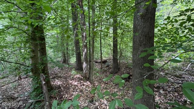0 Terry Road Cedar Grove, TN 38321 - Photo 17 of 23 IMG_7546