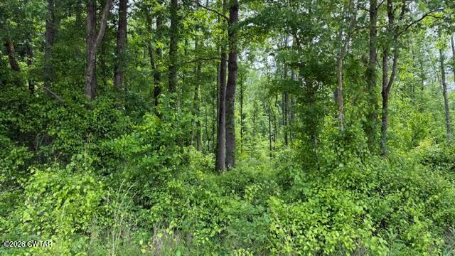 0 Terry Road Cedar Grove, TN 38321 - Photo 2 of 23 IMG_7519