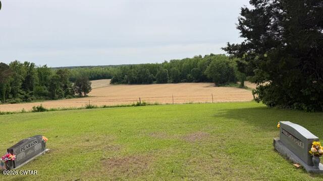 0 Terry Road Cedar Grove, TN 38321 - Photo 21 of 23 IMG_7564