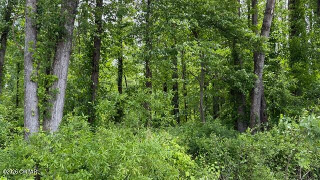 0 Terry Road Cedar Grove, TN 38321 - Photo 3 of 23 IMG_7516