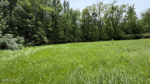0 Terry Road Cedar Grove, TN 38321 - Photo 4 of 23 IMG_7509
