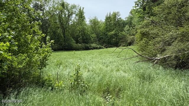 0 Terry Road Cedar Grove, TN 38321 - Photo 5 of 23 IMG_7504