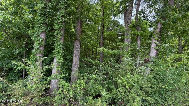 0 Terry Road Cedar Grove, TN 38321 - Photo 6 of 23 IMG_7501