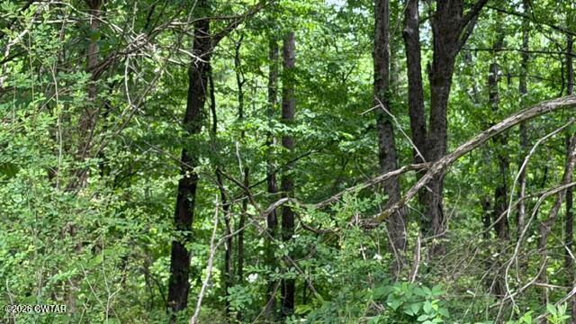 0 Terry Road Cedar Grove, TN 38321 - Photo 7 of 23 IMG_7541
