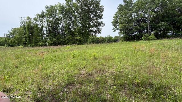 0 Terry Road Cedar Grove, TN 38321 - Photo 8 of 23 IMG_7539