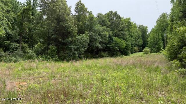 0 Terry Road Cedar Grove, TN 38321 - Photo 9 of 23 IMG_7534