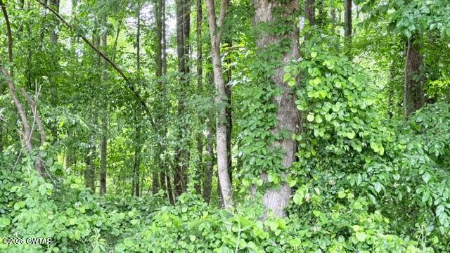 0 Terry Road Cedar Grove, TN 38321 - Photo 10 of 23 IMG_7527