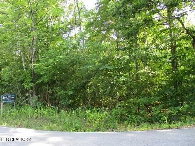 $34,900 | Lot 12 Red Cloud Road, Ten Mile, TN 37880