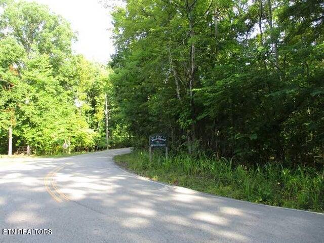 Lot 12 Red Cloud Road Ten Mile, TN 37880 - Photo 2 of 2 Lot 12 Red Cloud Rd 2