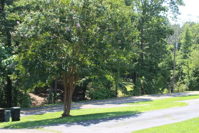 $280,000 | 160 Crane Street, McDonald, TN 37353