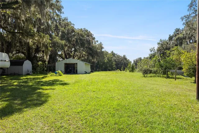 a yellow house in middle of the forest