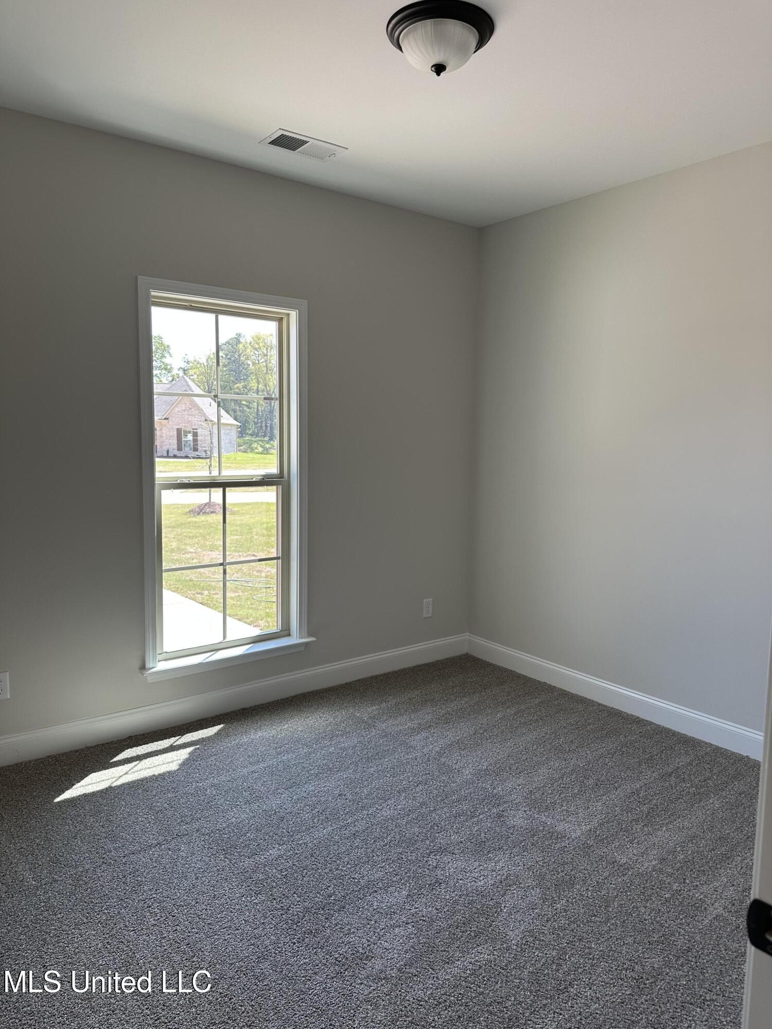 904 Andys Way Hernando, MS 38651 - Photo 17 of 19 IMG_5830