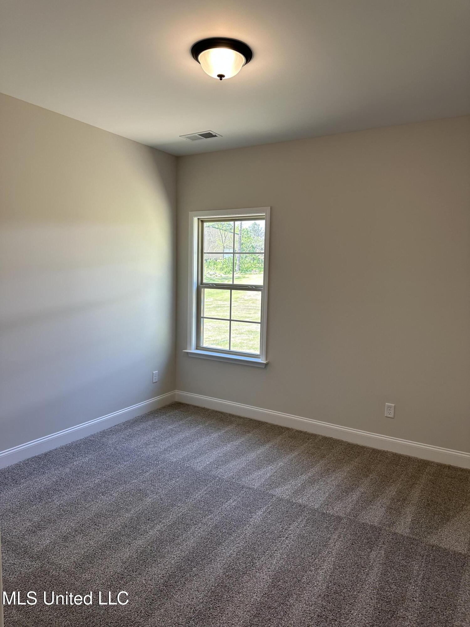 904 Andys Way Hernando, MS 38651 - Photo 19 of 19 IMG_5831