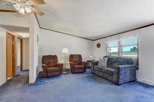 5845 Peerless Farms Road Peyton, CO 80831 - Photo 13 of 50 Carpeted living room featuring ornamental molding, a textured ceiling, and ceiling fan