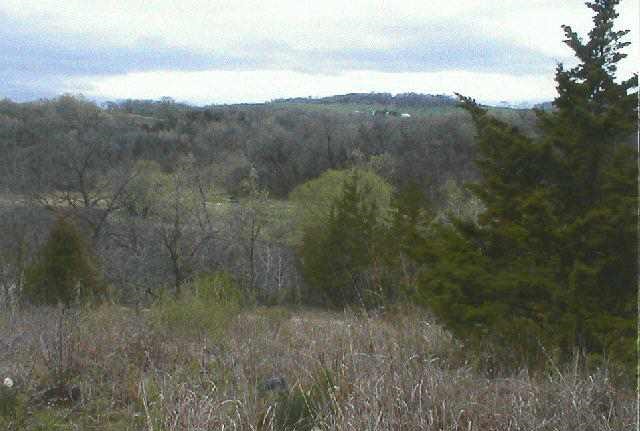 966 East Menzemer Road Elizabeth, IL 61028 - Photo 3 of 9 a view of a dry yard with mountains in the background