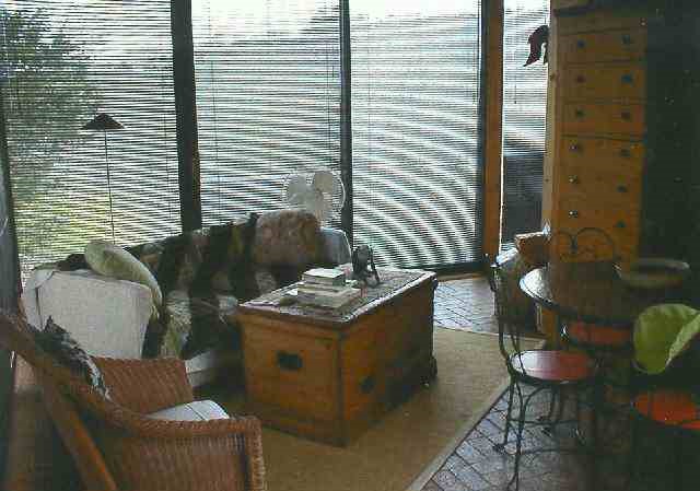 966 East Menzemer Road Elizabeth, IL 61028 - Photo 6 of 9 a living room with furniture and a potted plant