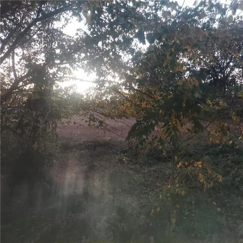 $219,900 | 13-acres East 315th Street, Drexel, MO 64742