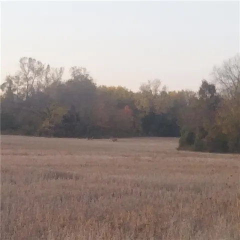 $219,900 | 13-acres East 315th Street, Drexel, MO 64742