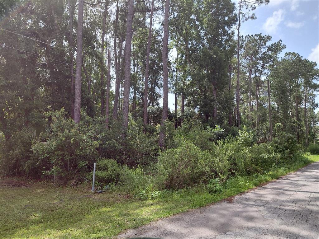 James Street Astor, FL 32102 - Photo 2 of 4