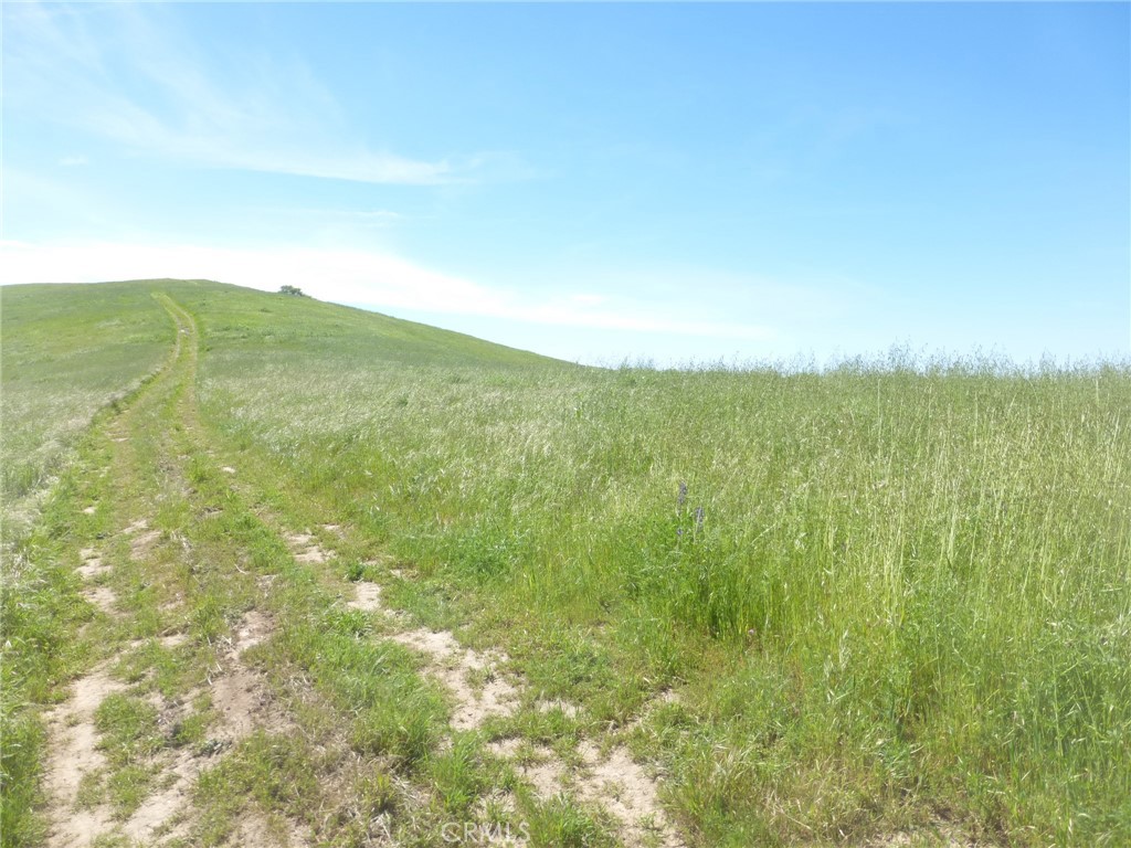 0 Douglas Road San Miguel, CA 93451 - Photo 16 of 51