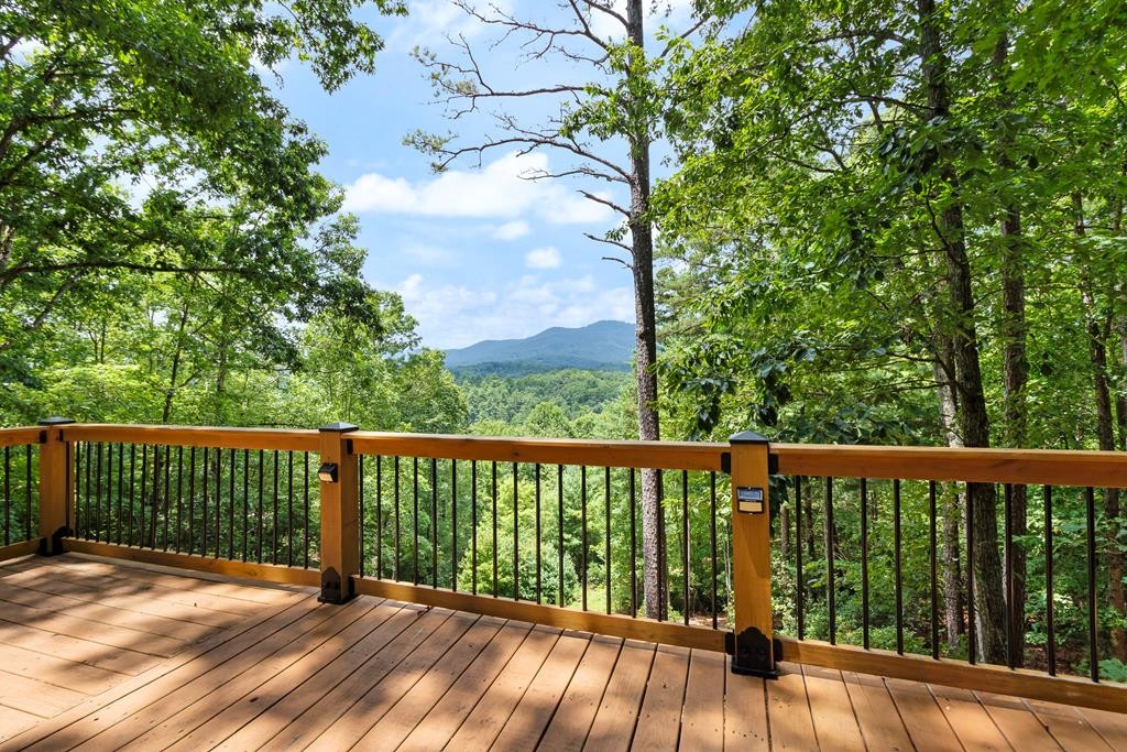 513 Persimmon Hts Road Murphy, NC 28906 - Photo 50 of 61