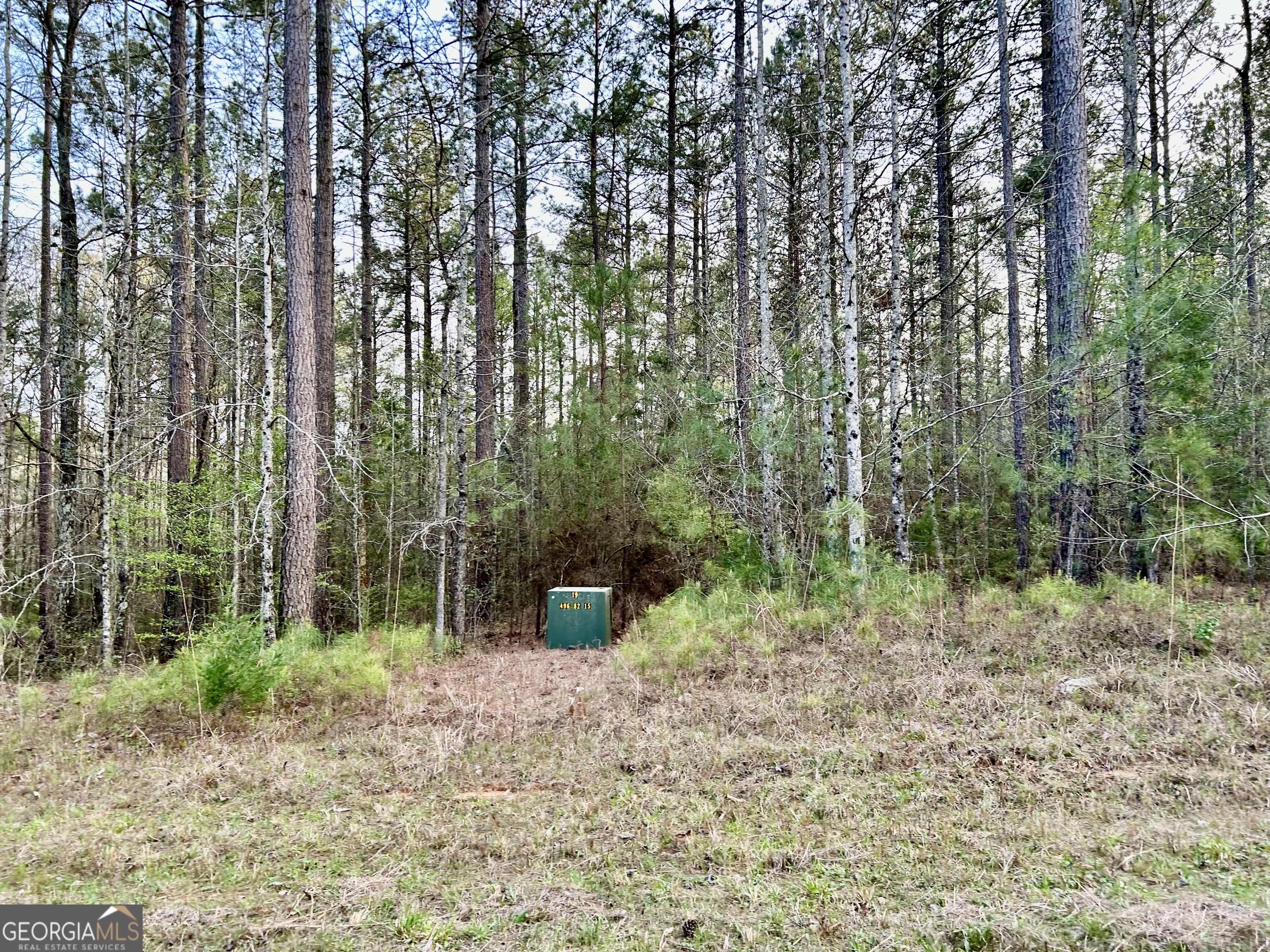 0 Bond Drive Elberton, GA 30635 - Photo 2 of 8