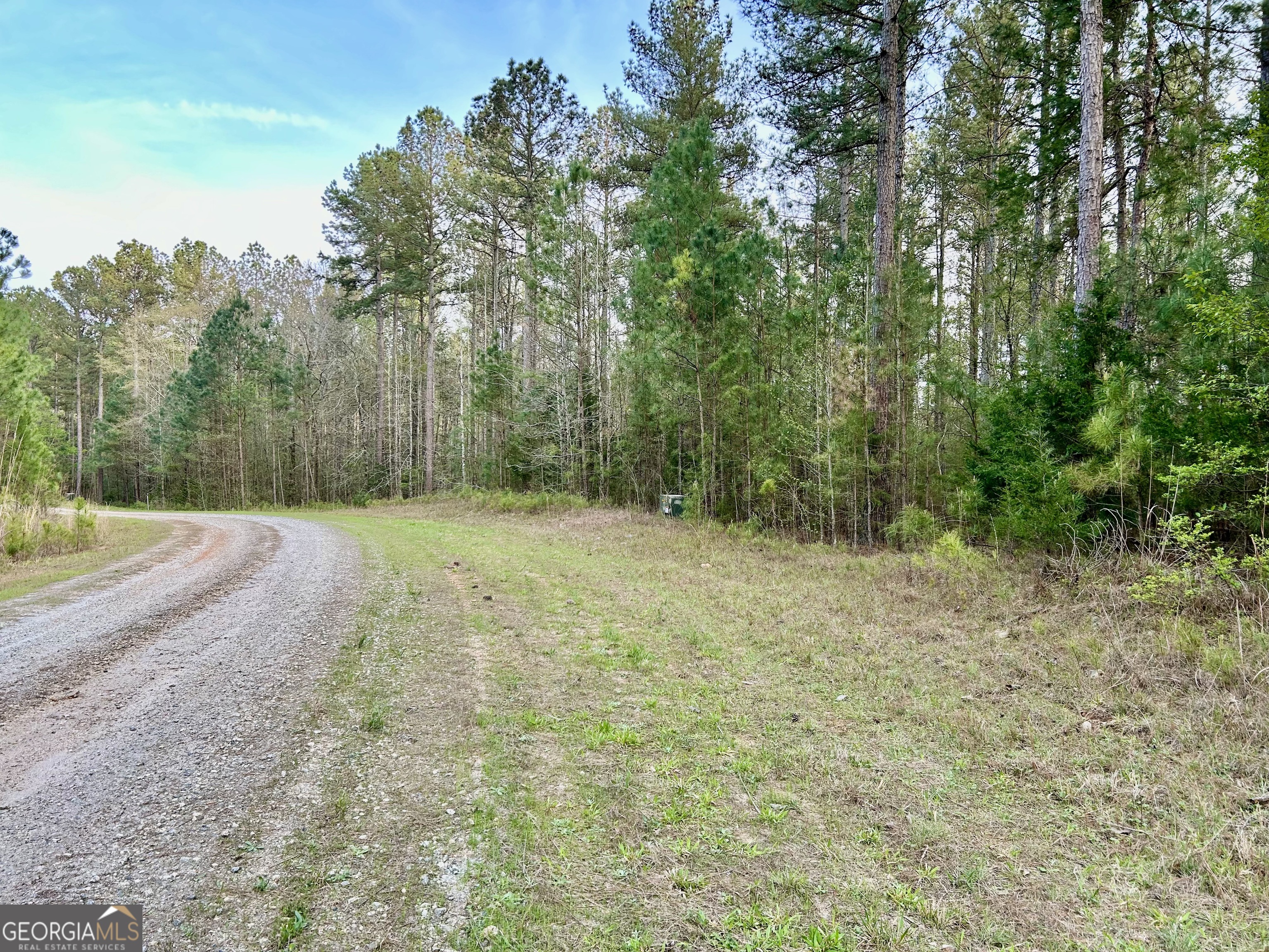0 Bond Drive Elberton, GA 30635 - Photo 3 of 8