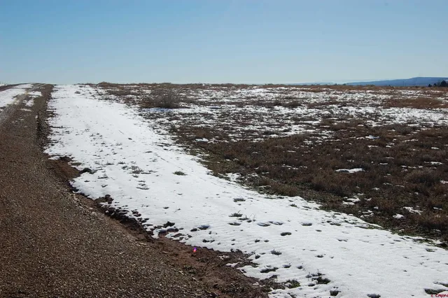 a view of outdoor space and covered with green space