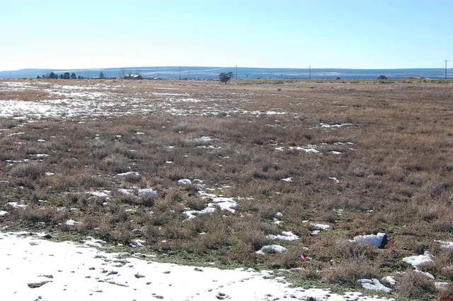 a view of an ocean beach