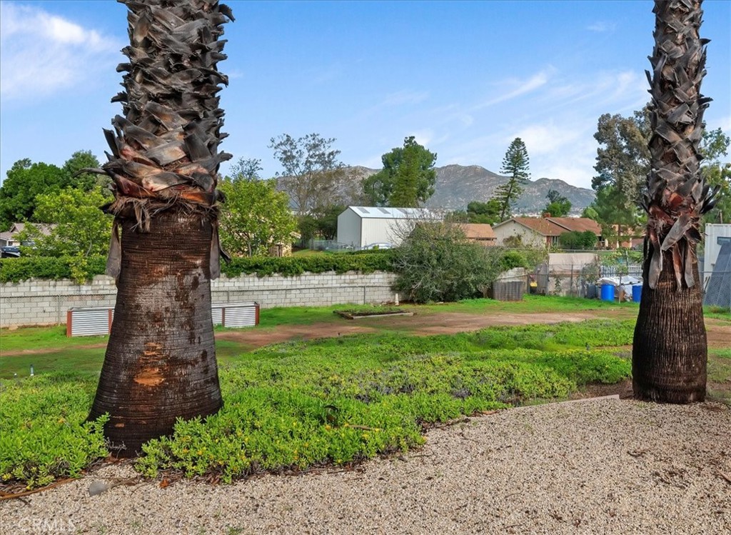 14231 Alexander Street Riverside, CA 92508 - Photo 25 of 36 a view of a garden