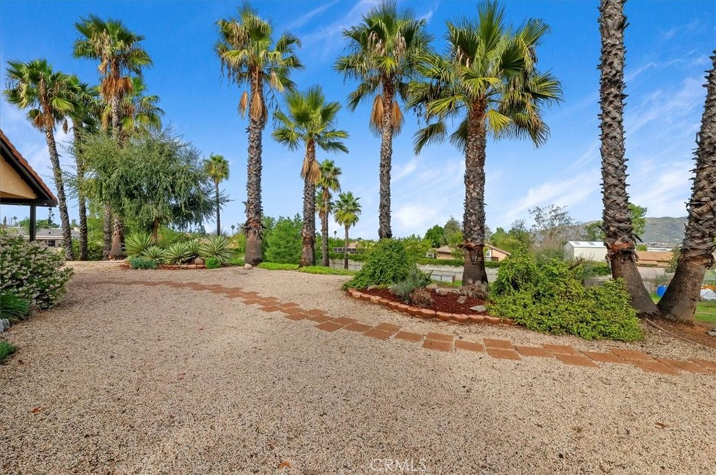14231 Alexander Street Riverside, CA 92508 - Photo 27 of 36 a front view of a house with a palm trees