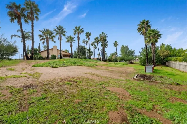 a view of a park and trees in the background