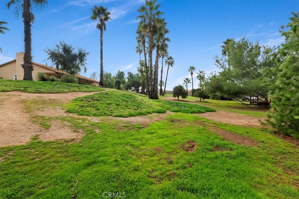14231 Alexander Street Riverside, CA 92508 - Photo 29 of 36 a view of a park and trees in the background