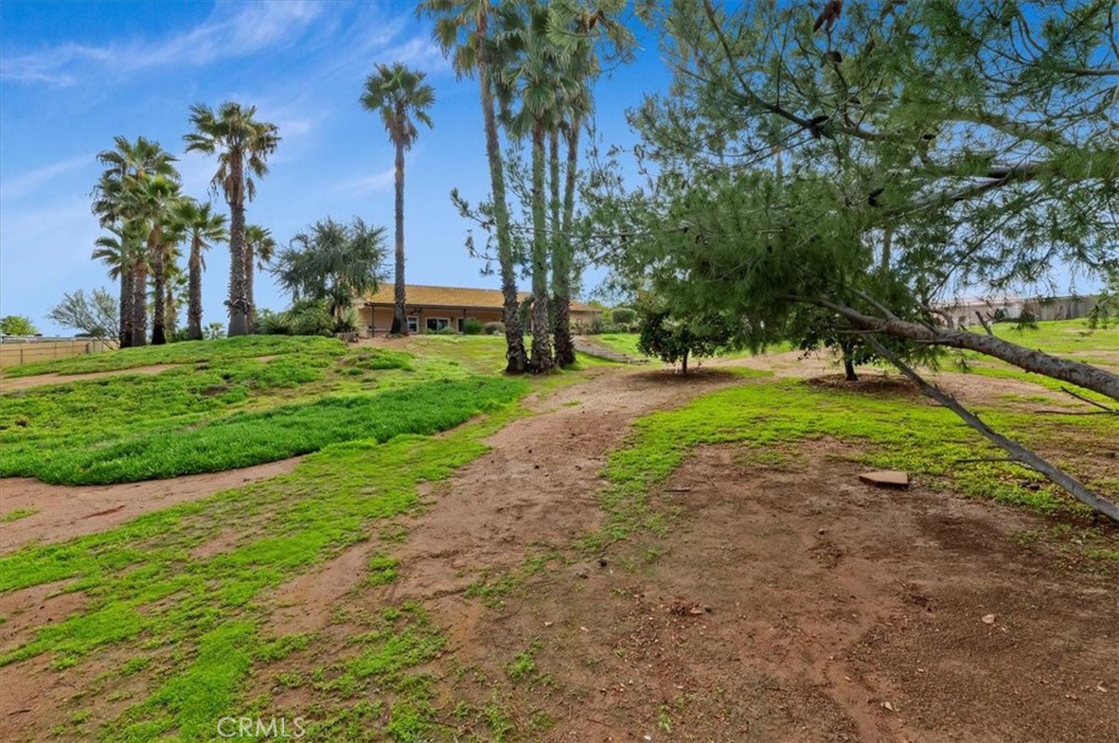 14231 Alexander Street Riverside, CA 92508 - Photo 30 of 36 a view of a park with palm trees