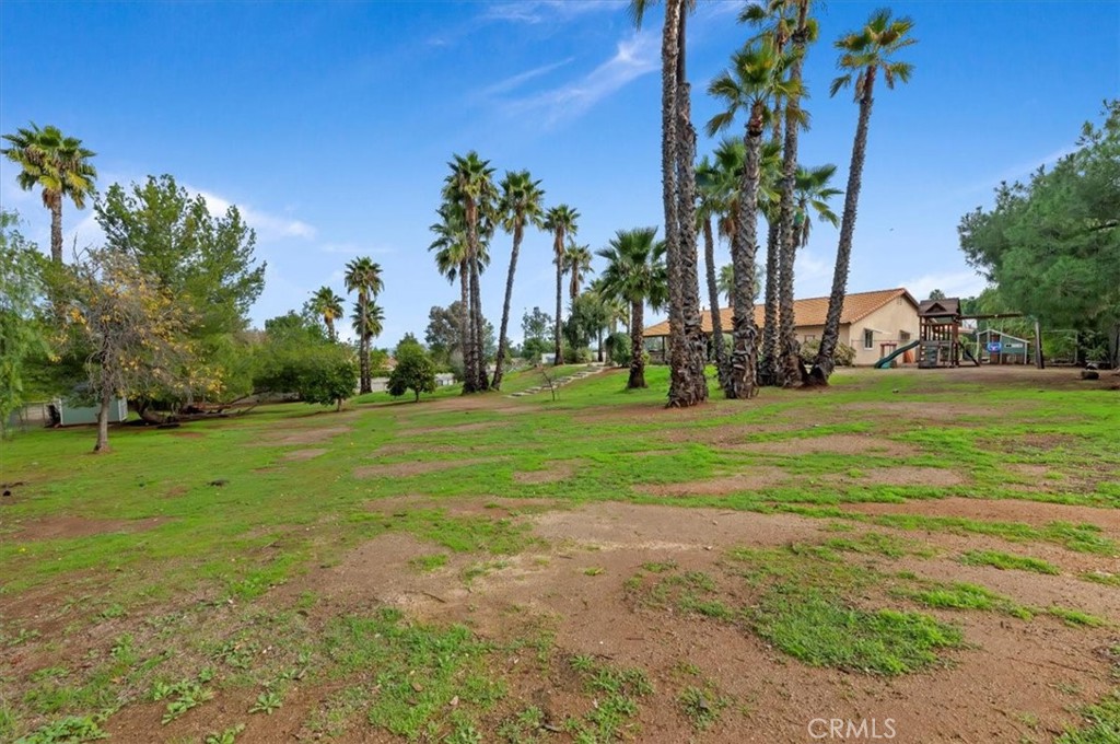 14231 Alexander Street Riverside, CA 92508 - Photo 32 of 36 a view of a park with palm trees
