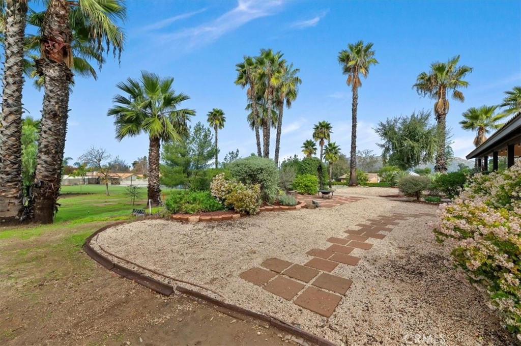 14231 Alexander Street Riverside, CA 92508 - Photo 34 of 36 a view of a garden with a tree