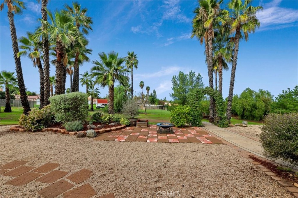 14231 Alexander Street Riverside, CA 92508 - Photo 35 of 36 a plant is in front of a house