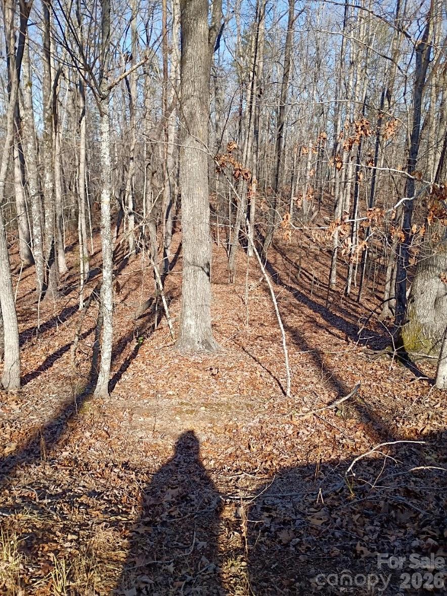 0 County Line Road South Rutherfordton, NC 28139 - Photo 4 of 7