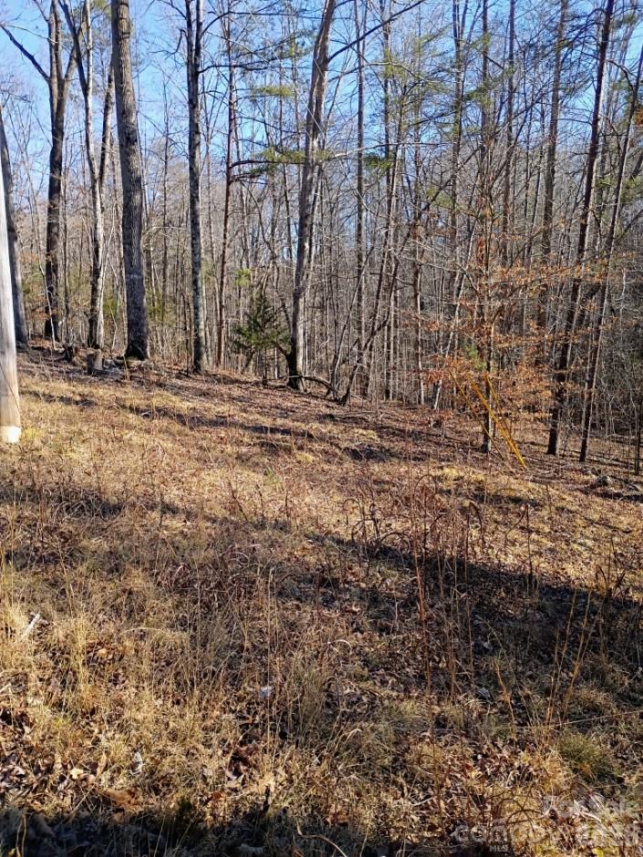 0 County Line Road South Rutherfordton, NC 28139 - Photo 5 of 7 a view of house with a yard