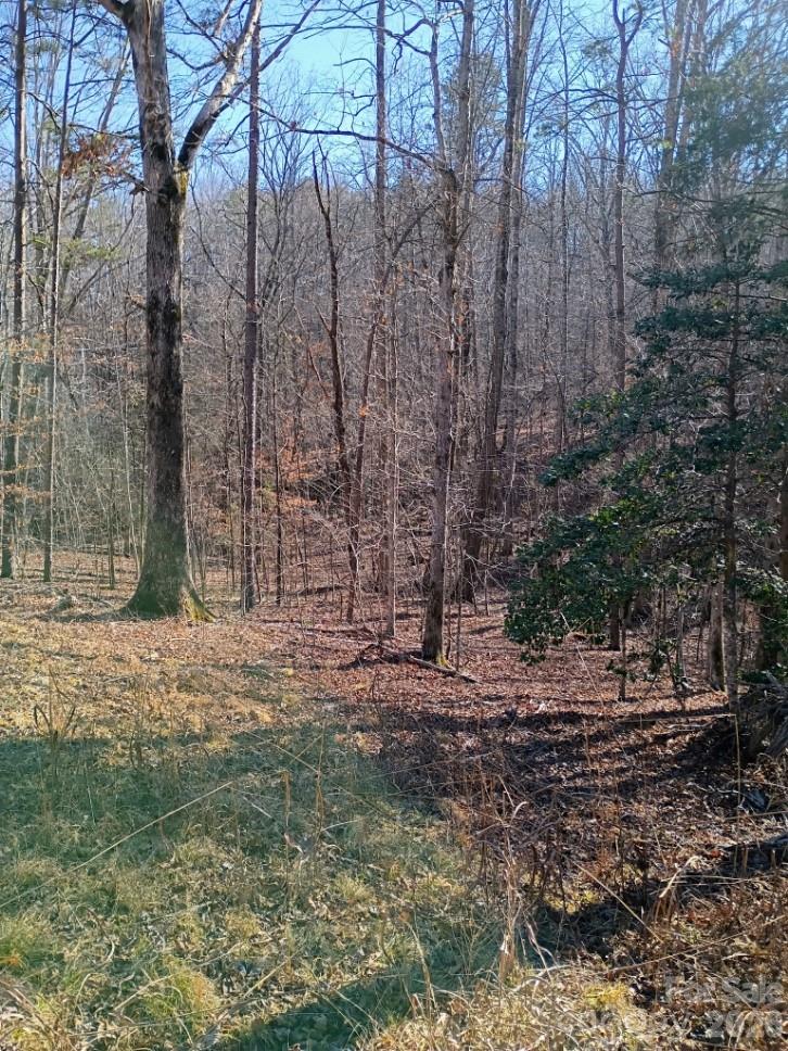 0 County Line Road South Rutherfordton, NC 28139 - Photo 6 of 7 a backyard of a house with lots of green space