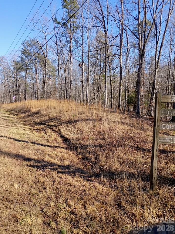 0 County Line Road South Rutherfordton, NC 28139 - Photo 7 of 7 a view of a yard with trees