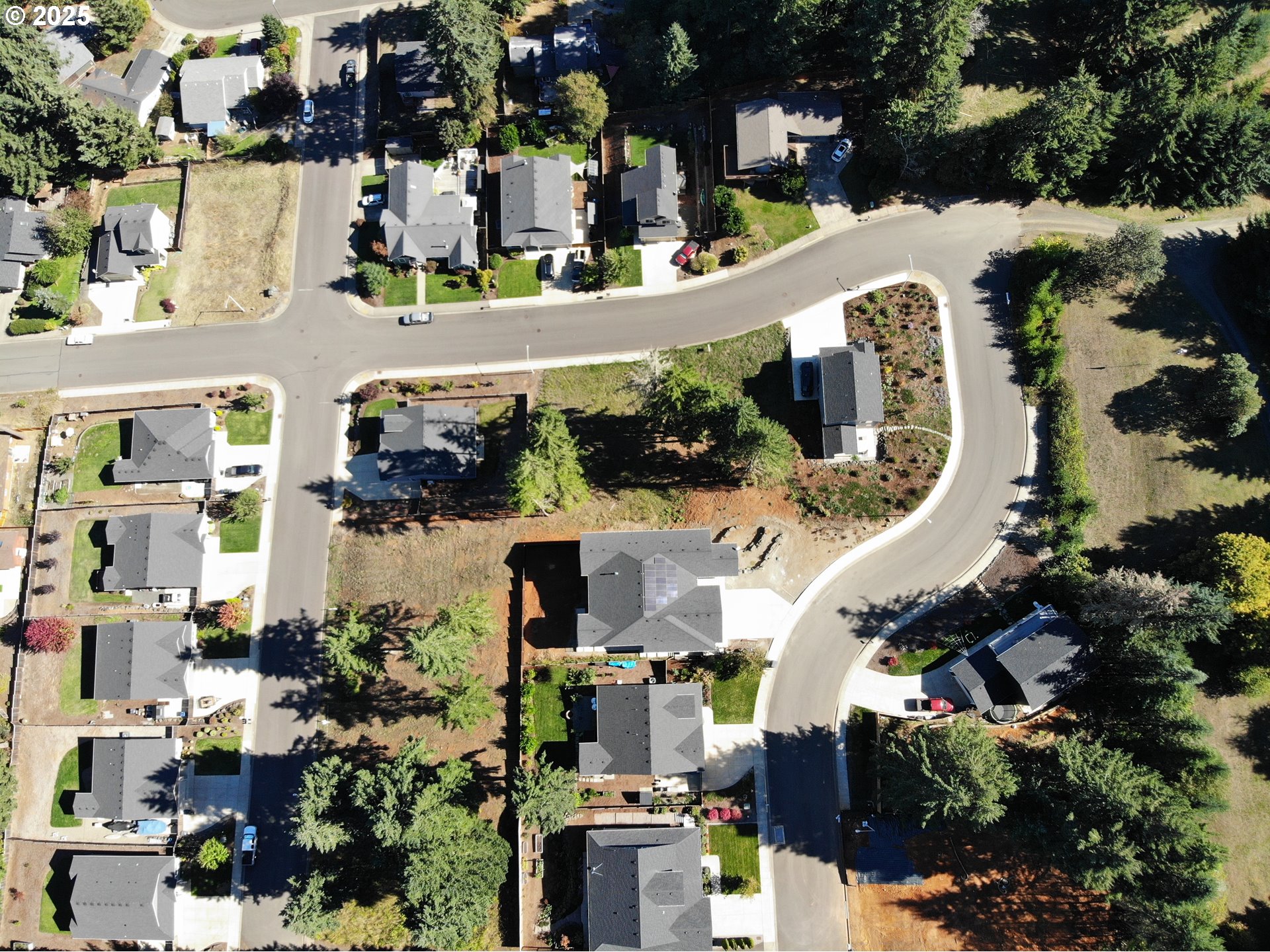 0 10th Street Veneta, OR 97487 - Photo 9 of 17