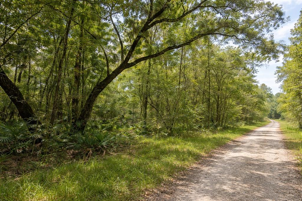 0 Millrock Street Webster, FL 33597 - Photo 2 of 3